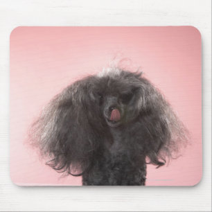 Tapis De Souris Chien avec les cheveux devant le visage et la lang