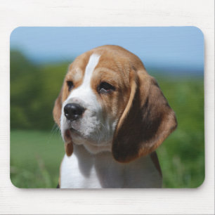 Tapis de souris Chien Beagle Puppy Amour