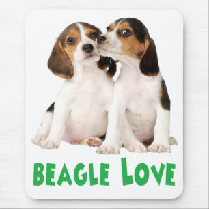 Tapis de souris Chien Beagle Vert