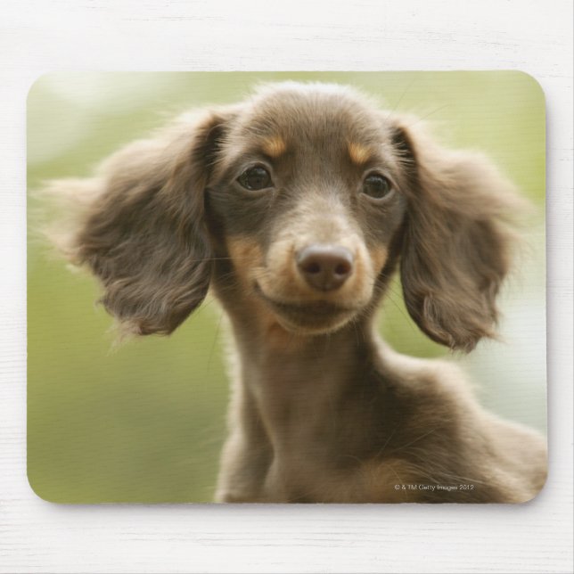 Tapis De Souris Chien blanc (brun) (Devant)
