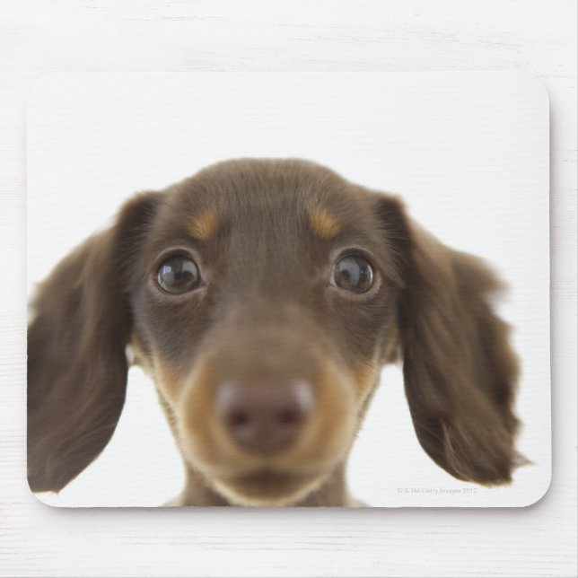 Tapis De Souris Chien blanc (brun) 2 (Devant)