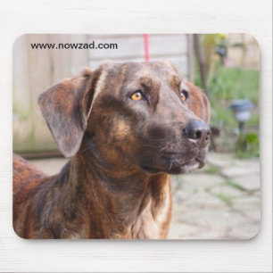 Tapis De Souris Chien Brin Mousepad de délivrance de Nowzad