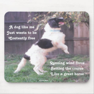 Tapis de souris Chien Cheval Poème de Ladee Basset