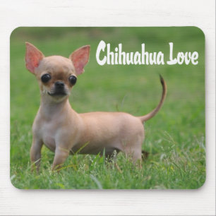 Tapis de souris Chien Chihuahua Mignon