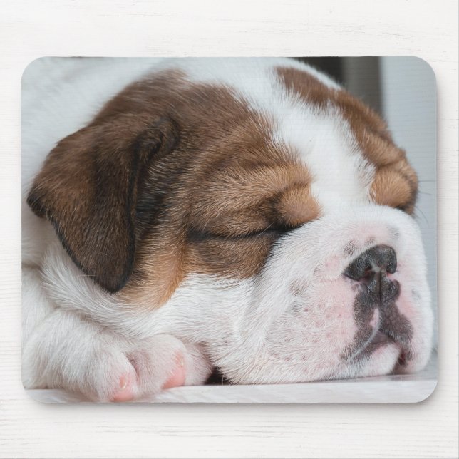 Tapis De Souris chien, chiot, animal de compagnie (Devant)