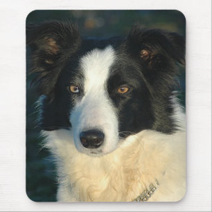 Tapis de souris Chien chiot Border Collie Amour