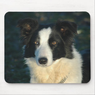 Tapis de souris Chien Chiot Border Collie Amour