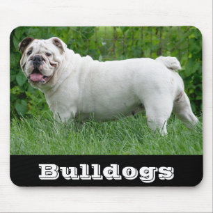 Tapis de souris Chien chiot Bouledogue anglais bla