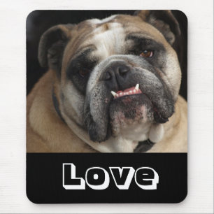 Tapis de souris Chien chiot bouledogue anglais mig