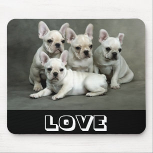 Tapis de souris Chien chiot Bouledogue français