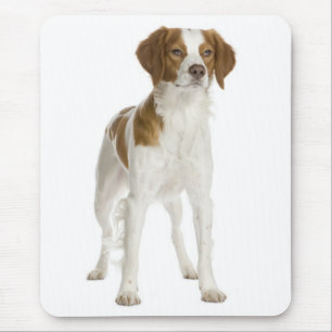 Tapis de souris Chien chiot Brittany Spaniel
