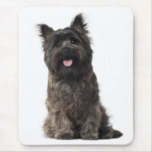 Tapis de souris Chien chiot Cairn Terrier Heureux