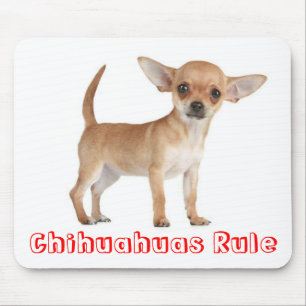 Tapis de souris Chien Chiot Chihuahua
