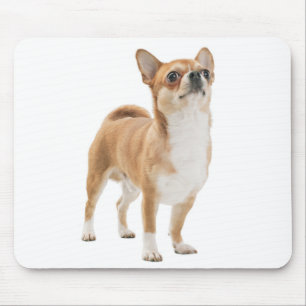 Tapis de souris Chien Chiot Chihuahua