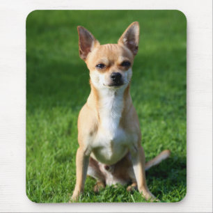 Tapis de souris Chien Chiot Chihuahua