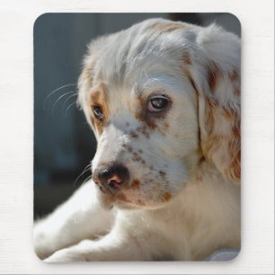 Tapis De Souris Chien chiot espagnol