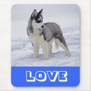 Tapis de souris Chien chiot Husky sibérien dans la