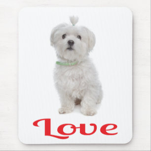 Tapis de souris Chien chiot maltais blanc