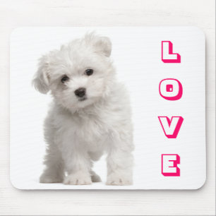 Tapis de souris Chien chiot Maltais blanc Amour