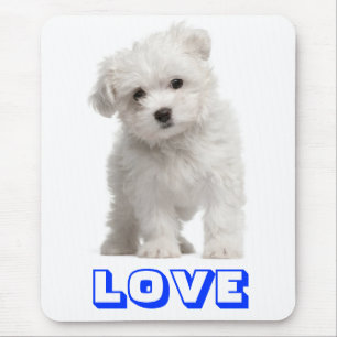 Tapis de souris Chien chiot Maltais blanc Amour