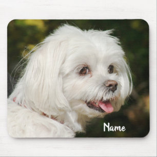 Tapis De Souris Chien chiot maltais blanc personnalisé