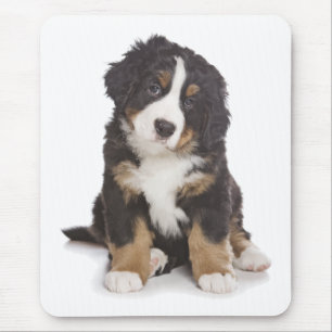 Tapis de souris Chien chiot Montagne Bernoise