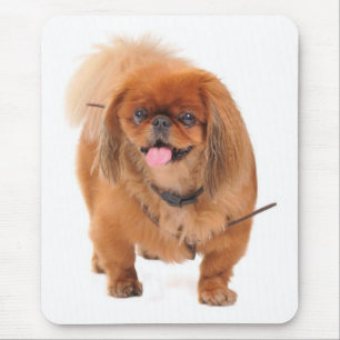 Tapis de souris Chien Chiot Pékinais Amour