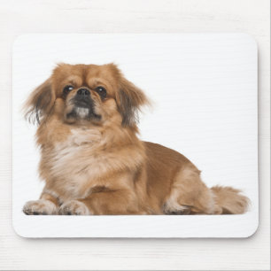 Tapis de souris Chien Chiot Pékinais Amour