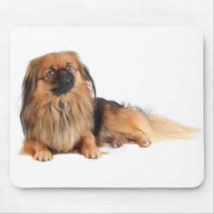 Tapis de souris Chien Chiot Pékinais Amour