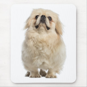 Tapis de souris Chien Chiot Pékinais Amour