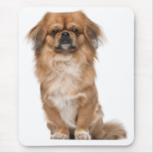 Tapis de souris Chien chiot Pékinois mignon