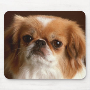 Tapis de souris Chien chiot Pékinois mignon