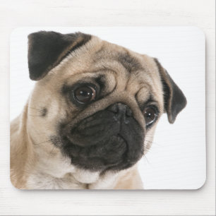 Tapis de souris Chien Chiot Pug Amour