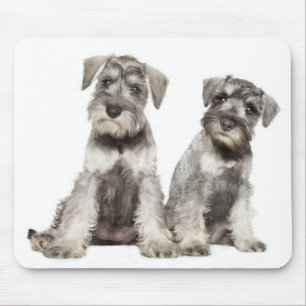 Tapis de souris Chien chiot Schnauzer nain