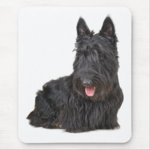 Tapis de souris Chien chiot Terrier Écossais
