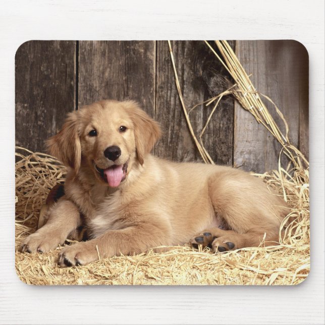 Tapis De Souris Chien coquelicot rustique de Golden Retriever (Devant)