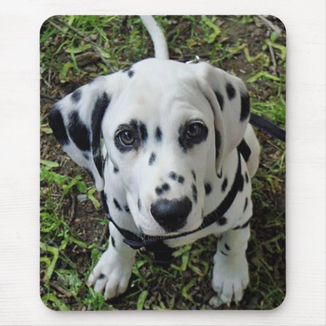 Tapis de souris Chien Dalmatien (Devant)