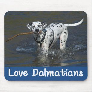 Tapis de souris Chien Dalmatien