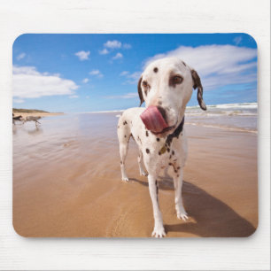 Tapis De Souris Chien dalmatien sur la plage