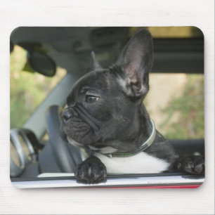 Tapis De Souris Chien dans la voiture