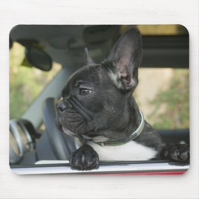 Tapis De Souris Chien dans la voiture (Devant)
