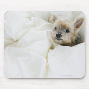Tapis De Souris Chien dans le lit