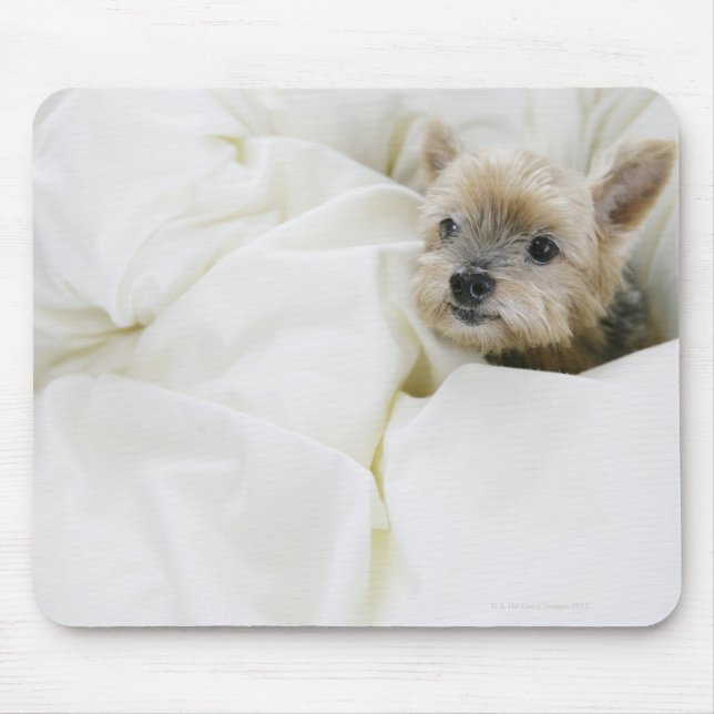 Tapis De Souris Chien dans le lit (Devant)