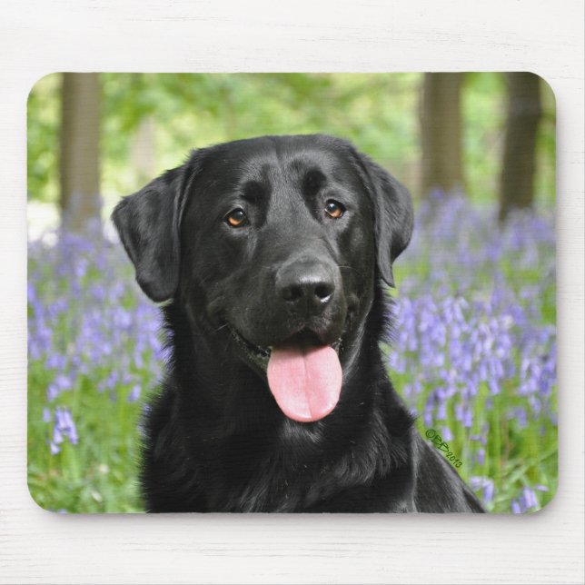 Tapis De Souris Chien dans les jacinthes des bois (Devant)