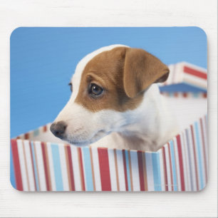 Tapis De Souris Chien dans une boîte-cadeau