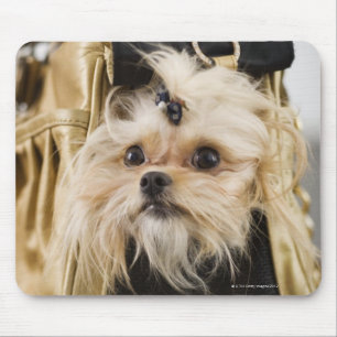 Tapis De Souris Chien dans une bourse