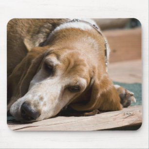 Tapis De Souris chien de basset fatigué