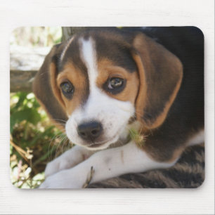 Tapis De Souris Chien de bébé de beagle