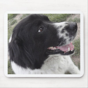 Tapis De Souris Chien de berger bulgare de Sara