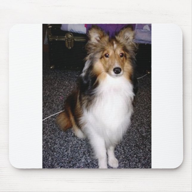 Tapis De Souris chien de berger shetland assis 2 (Devant)